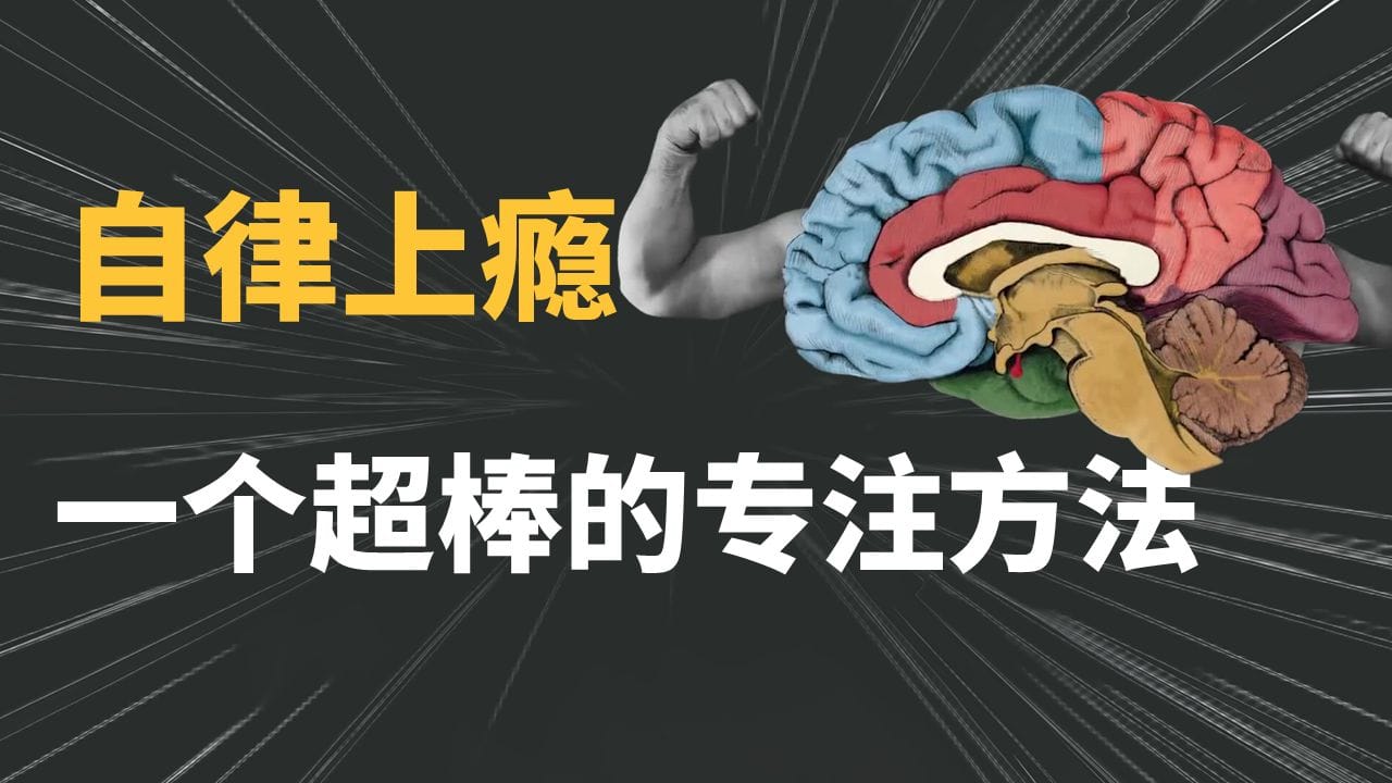 为什么我能每天学习10小时