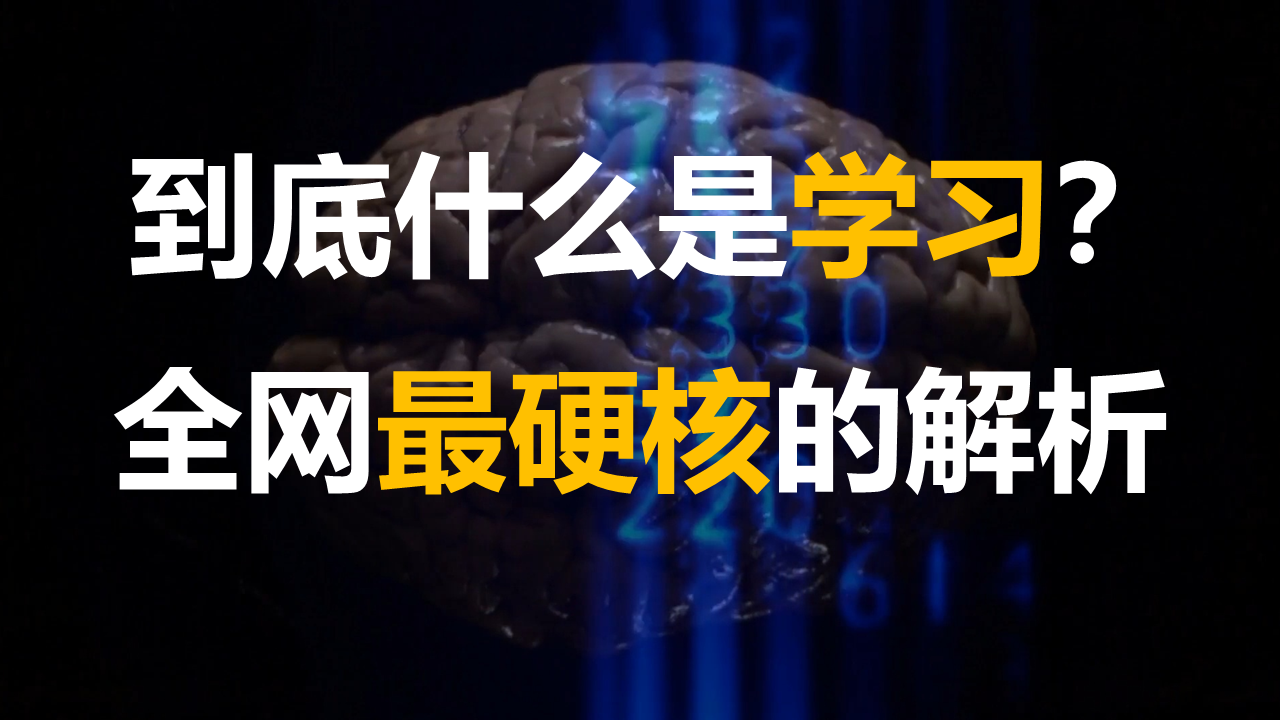 这才是学习的底层原理！